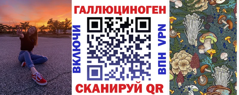 Псилоцибиновые грибы Psilocybine cubensis  купить   Кирс 